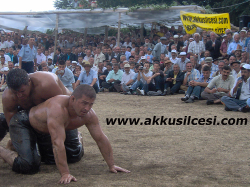 2007festival132.jpg