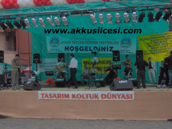 2007festival73.jpg