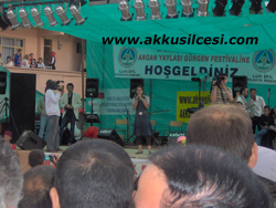 2007festival75.jpg