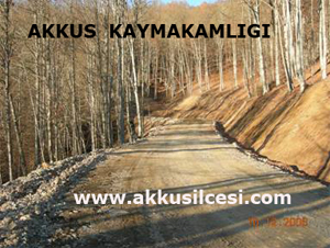 salgrpyol1.jpg salgrpyol1.jpg