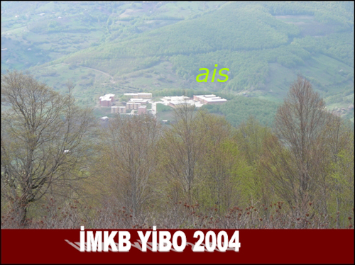 Active Image