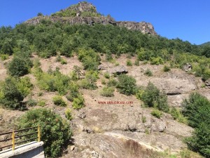 ozelfotocingiliirmak2015_8
