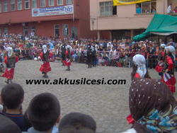 2007festival80.jpg
