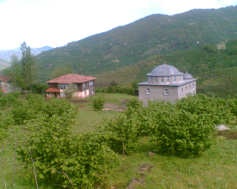 kargi2008-1.jpg