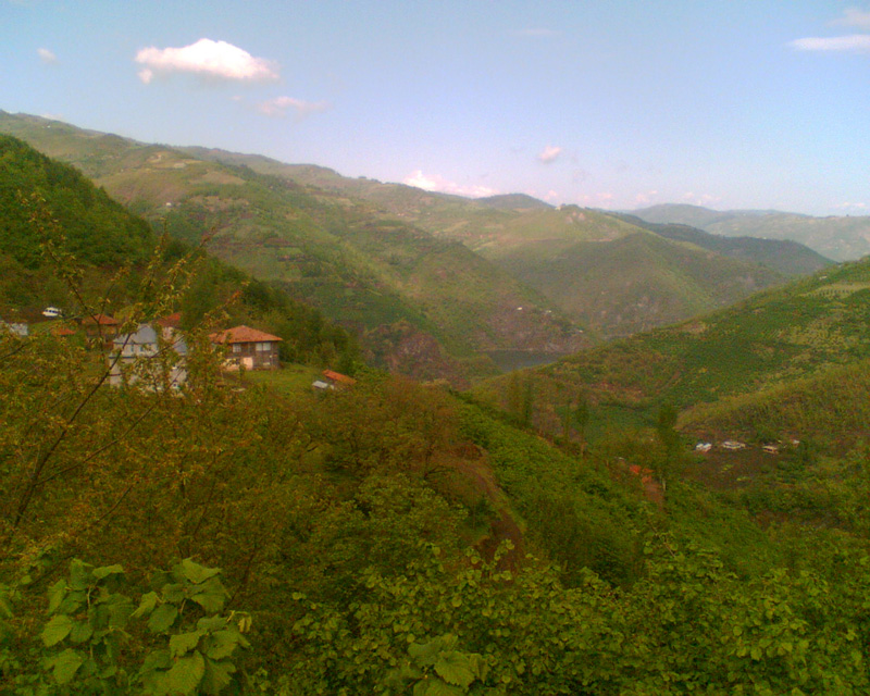 kargi2008-2.jpg