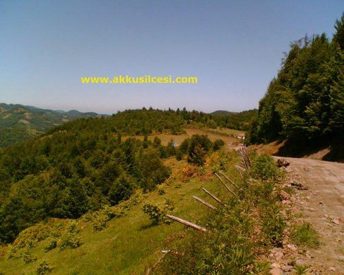 ykoymayis1.jpg