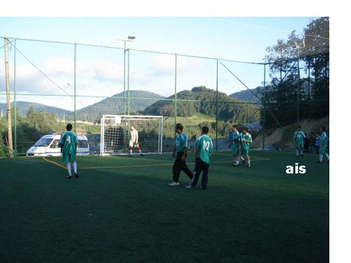 halisaha20081.jpg