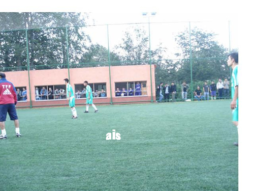 halisaha20081.jpg