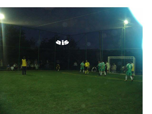 halisaha20081.jpg