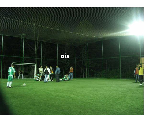 halisaha20081.jpg