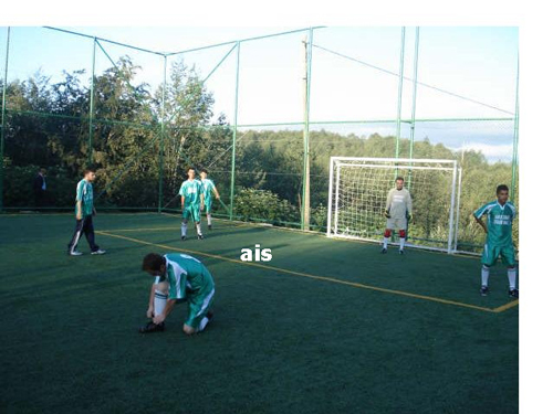 halisaha20081.jpg