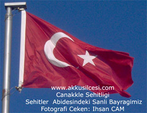 canakalebayrak1-JGnxwd.jpg