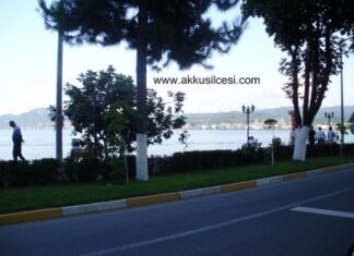 unyesahilyolu2009_1.jpg
