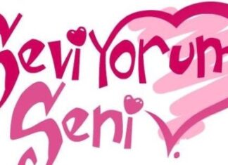 seniseviyorum.jpg