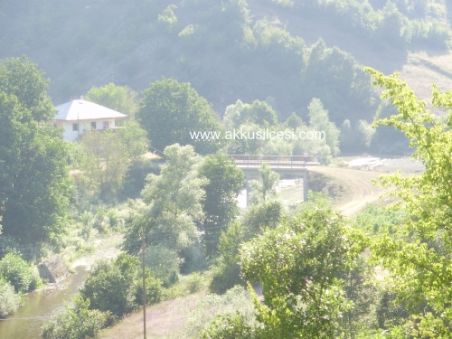 ispnelikop2010_2.jpg ispnelikop2010_2.jpg