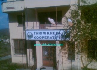tarimkredikoop2010ekim1.jpg