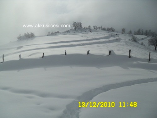 yolsil2010aralik_3.jpg yolsil2010aralik_3.jpg