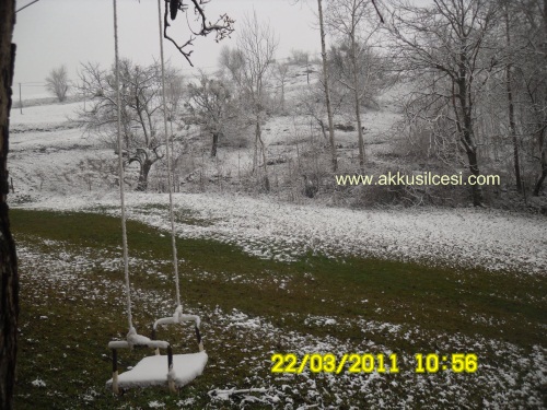 mart22koyler9.jpg mart22koyler9.jpg