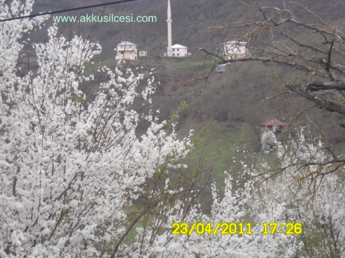 23cukurkoy2011_9.jpg 23cukurkoy2011_9.jpg