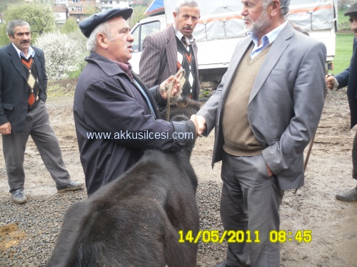 hayvanpazmayis2011_8.jpg hayvanpazmayis2011_8.jpg