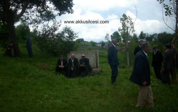 ormancikmuhsecimi2.jpg ormancikmuhsecimi2.jpg