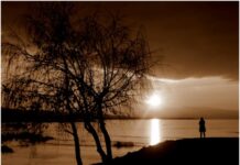 Zor Olan Hayatla Savaşmaktır hayatlasavasmak.jpg