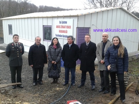 tavukdagitim1.jpg tavukdagitim1.jpg