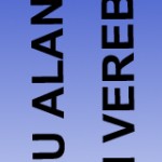 reklam_verin