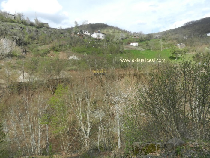 27_04_2015kemahcingilikusculuyolgenisletme10