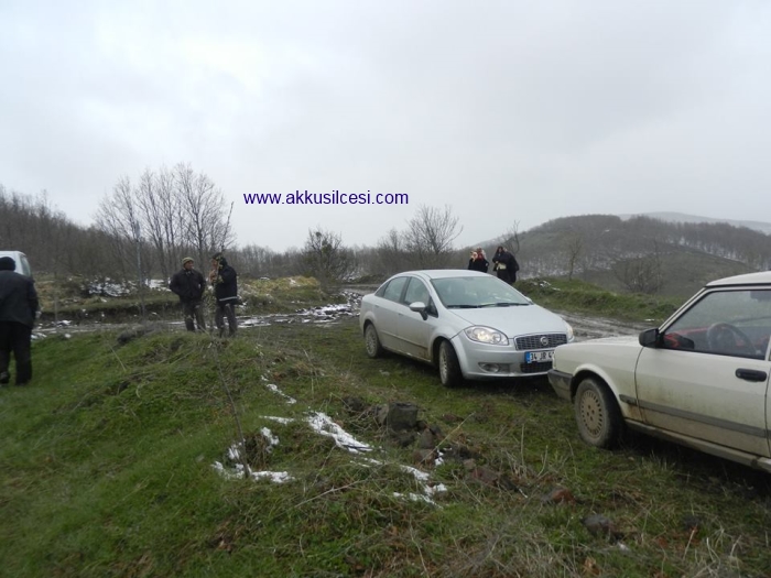 nuhtaryasaresicanaze10