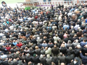 erguderefiloglucenazetoren7