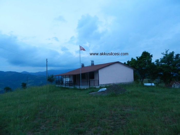 okulboyamahaziran2015_1