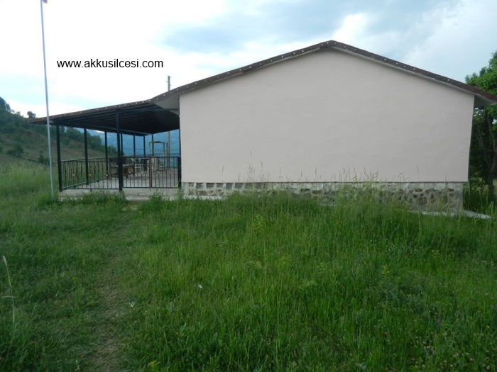 okulboyamahaziran2015_7