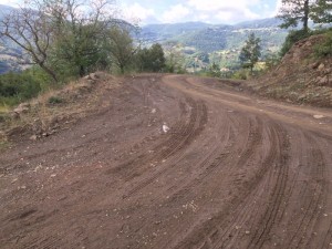 2015eylulsalmanyol12