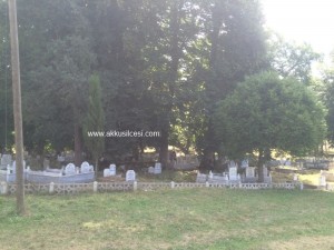 camiyanicukurmah2015_10