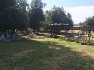 camiyanicukurmah2015_11