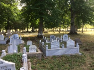 camiyanicukurmah2015_2