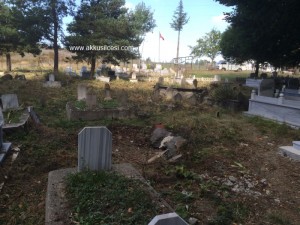 camiyanicukurmah2015_5