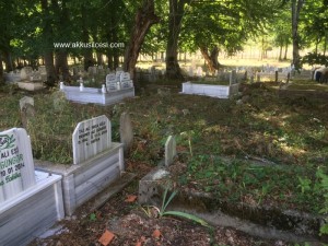 camiyanicukurmah2015_6