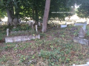 camiyanicukurmah2015_8