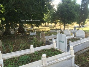 camiyanicukurmah2015_9