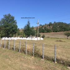 kusculu4eylul2015_12