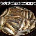 niyazi_dayinin_yeri