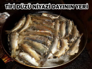 niyazi_dayinin_yeri