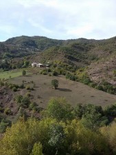 12165658_150488495302822_113758494_n