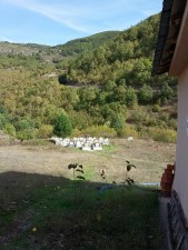 12165704_150488858636119_265949496_n