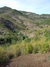 12165745_150488375302834_288263954_n