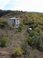 12166312_150488248636180_157384778_n