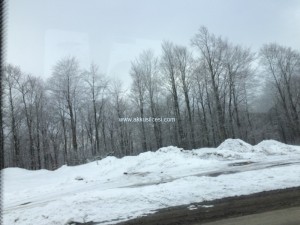 14aralik2015akkus_31