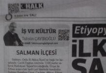 Salman’nın İlçe Olması